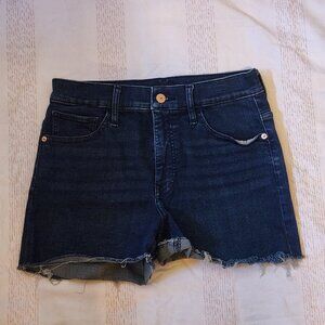 Express Shorts High Rise Hyper Stretch Women Size 4